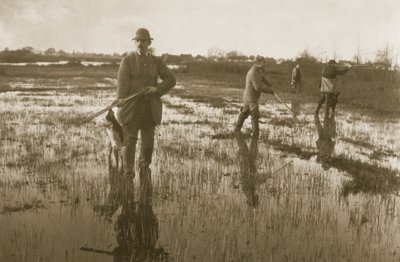 Caza de agachadizas, 1886 de Peter Emerson und Thomas Goodall